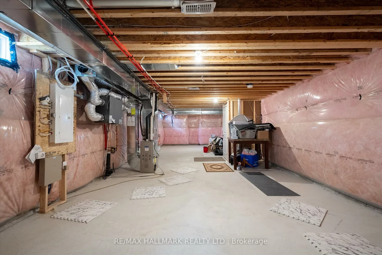 3, Gumtree, Sandringham-Wellington, Brampton