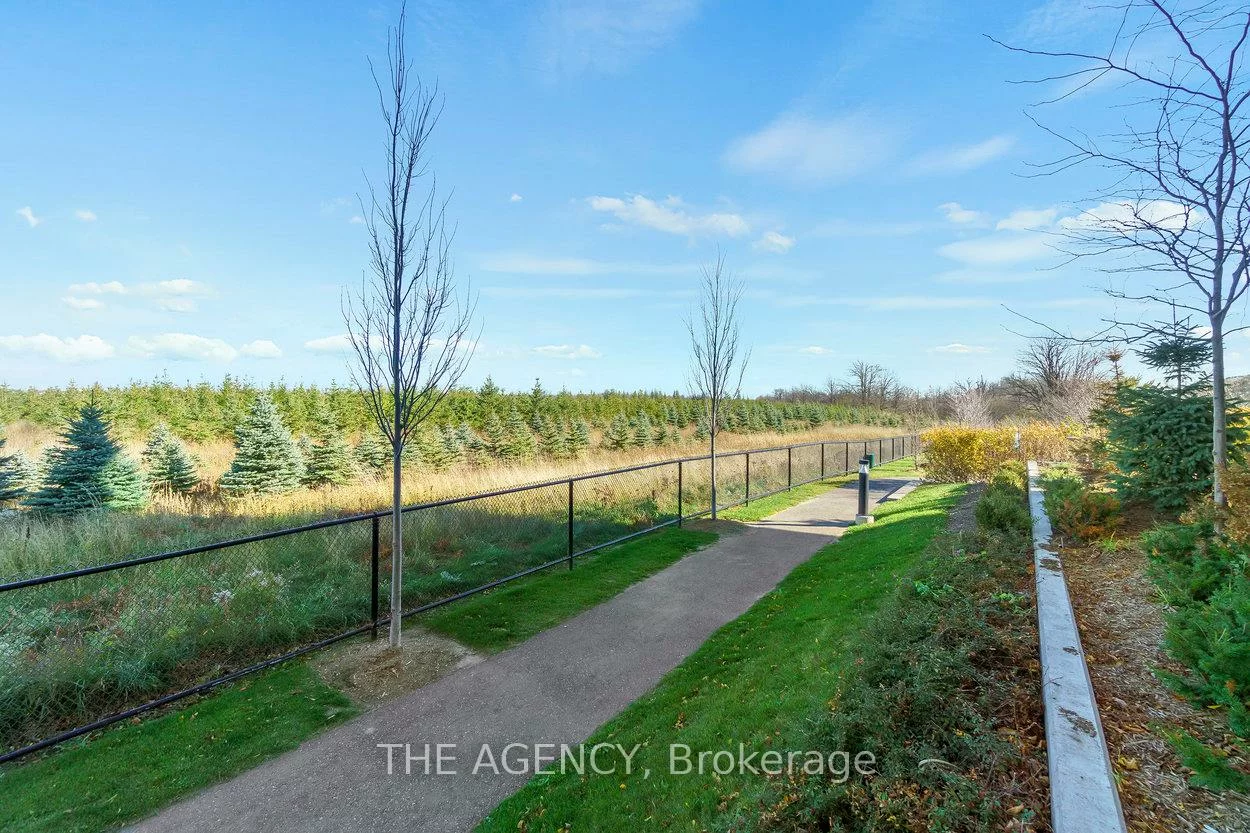65, Yorkland, Goreway Drive Corridor, Brampton