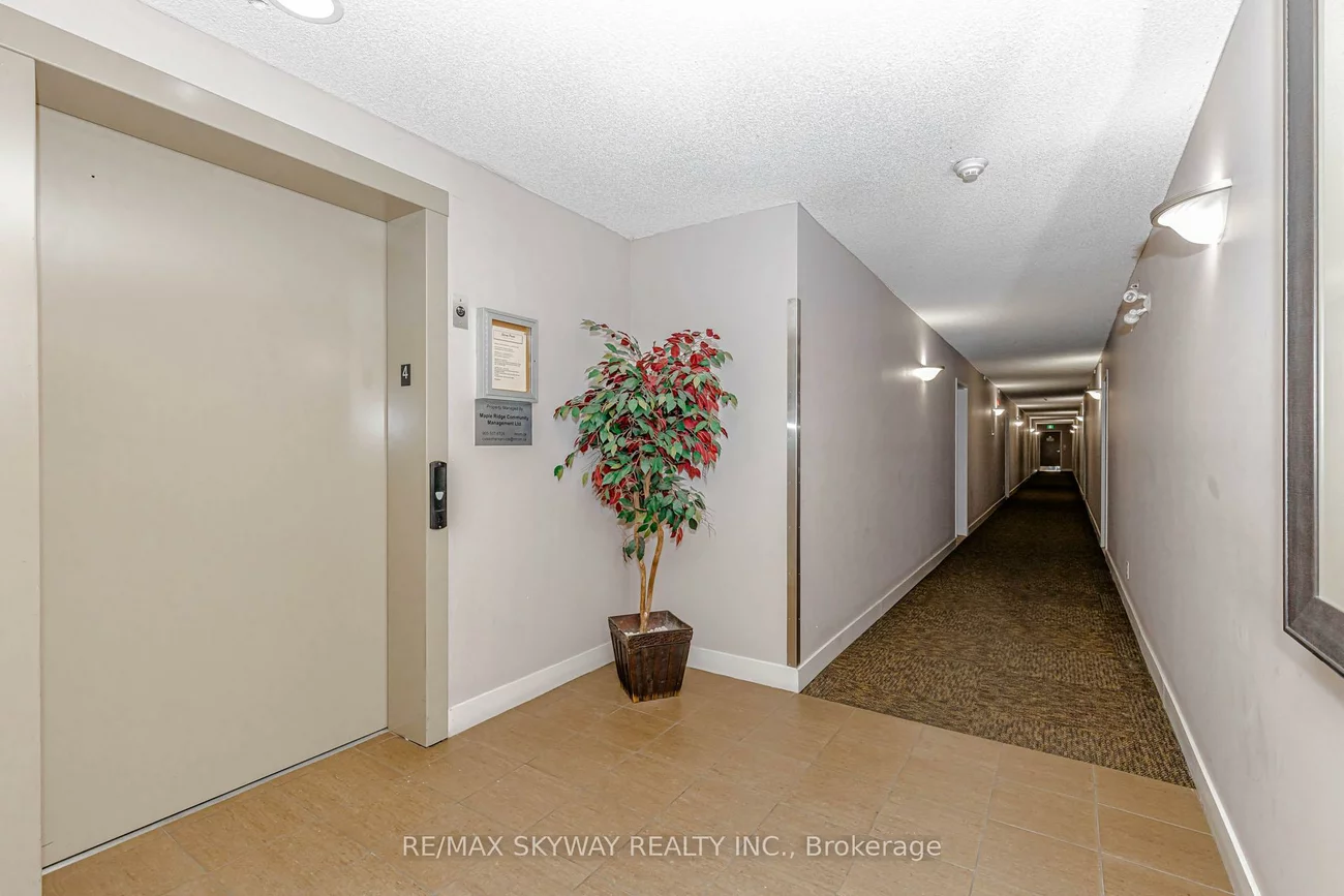 8, Dayspring, Goreway Drive Corridor, Brampton
