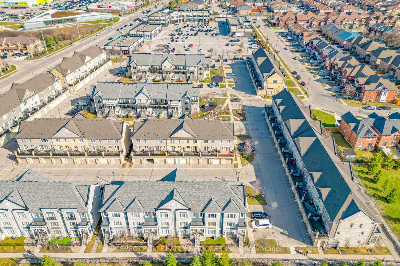 60, Fairwood, Sandringham-Wellington, Brampton