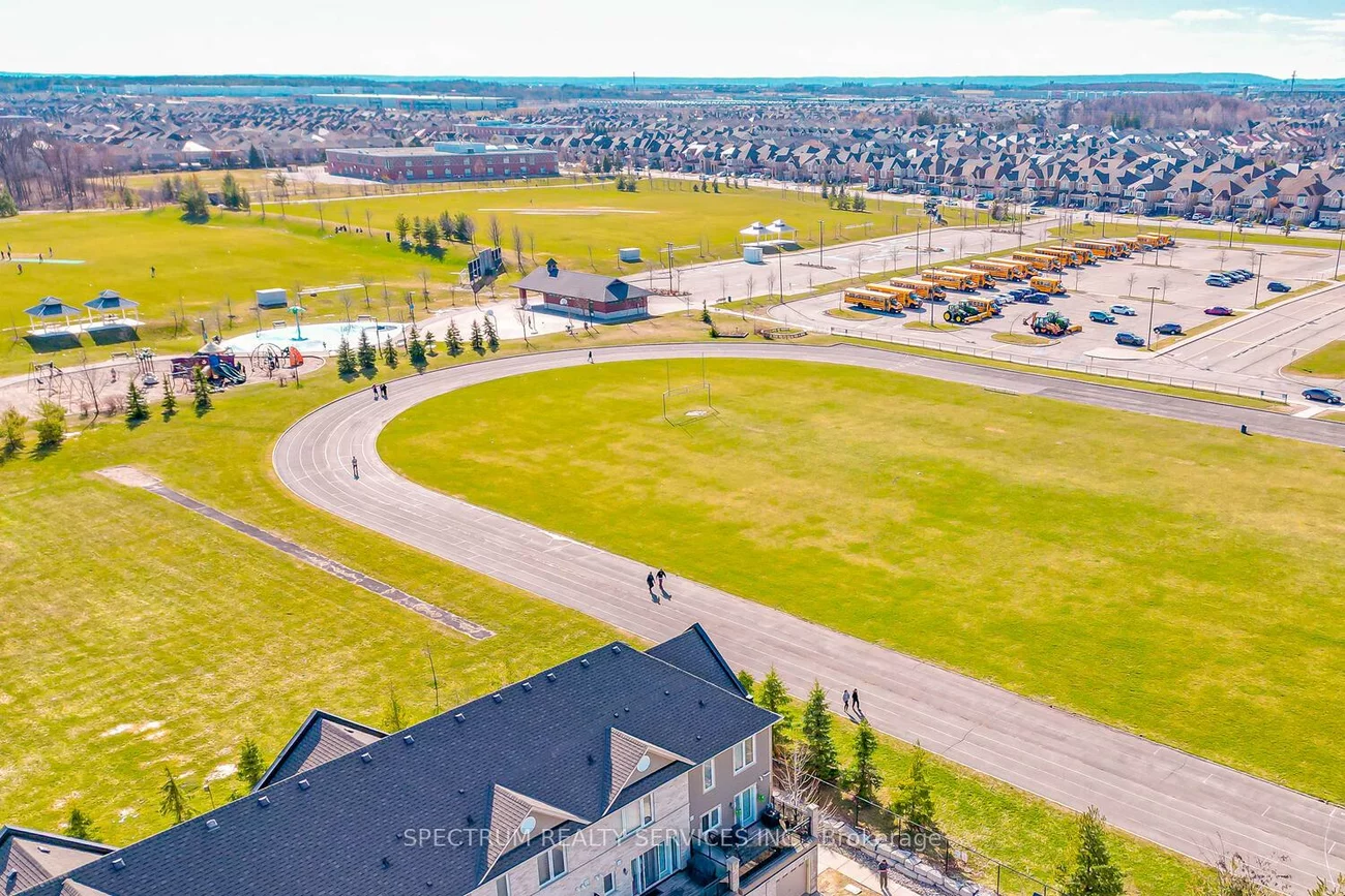 60, Fairwood, Sandringham-Wellington, Brampton