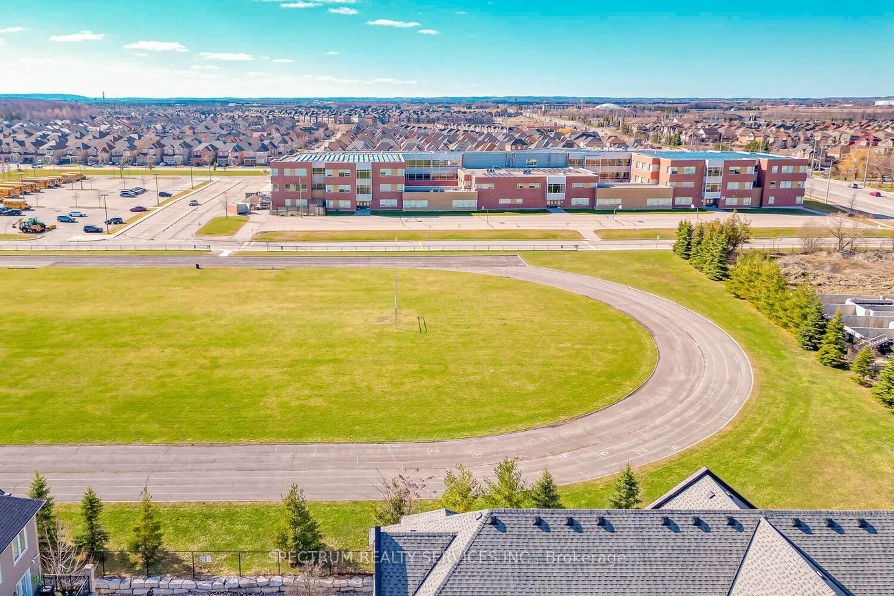 60, Fairwood, Sandringham-Wellington, Brampton