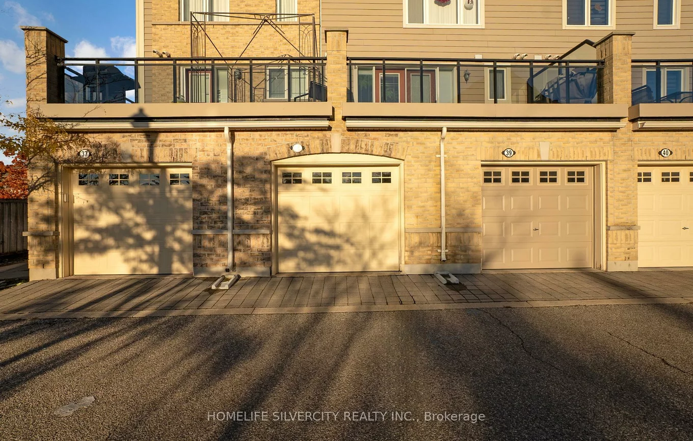 60, Fairwood, Sandringham-Wellington, Brampton