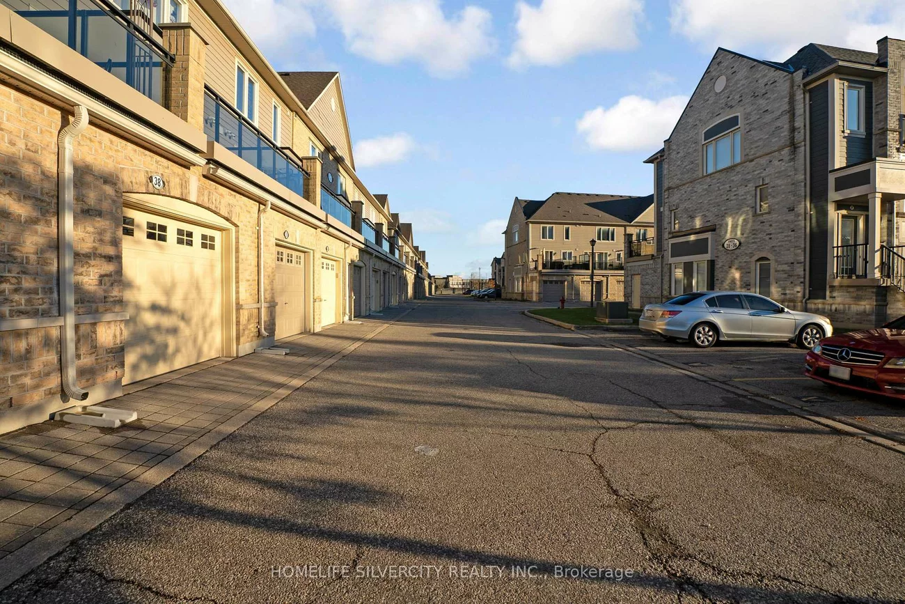 60, Fairwood, Sandringham-Wellington, Brampton