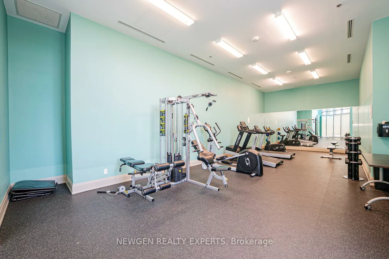 65, Yorkland, Goreway Drive Corridor, Brampton