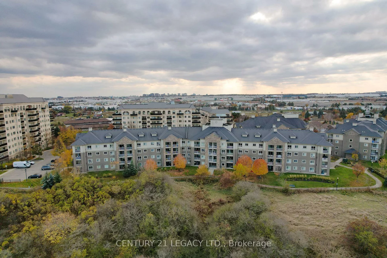 8, Dayspring, Goreway Drive Corridor, Brampton