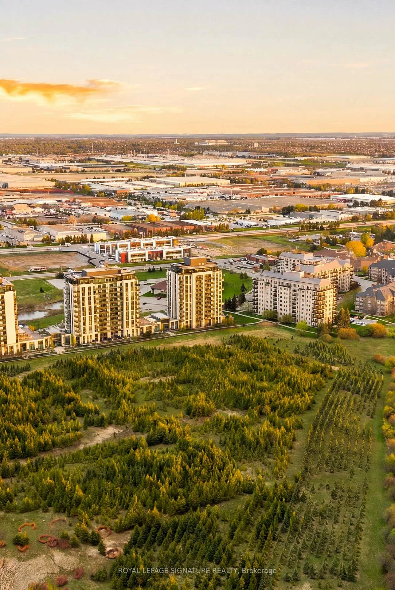 45, Yorkland, Goreway Drive Corridor, Brampton
