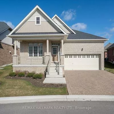 3, Gumtree, Sandringham-Wellington, Brampton