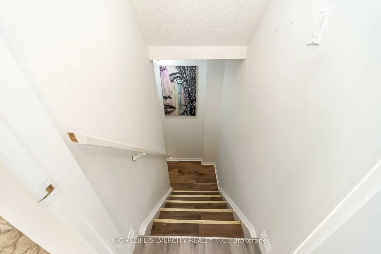 66, Brisbane, Sandringham-Wellington, Brampton
