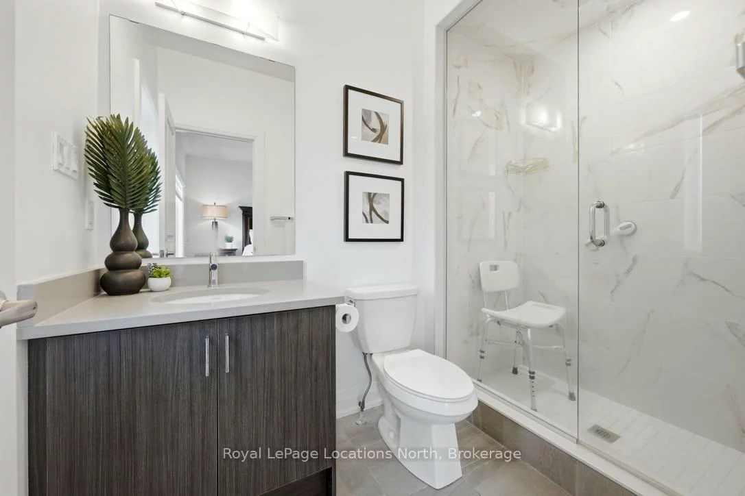 31, Tea Rose, Sandringham-Wellington, Brampton