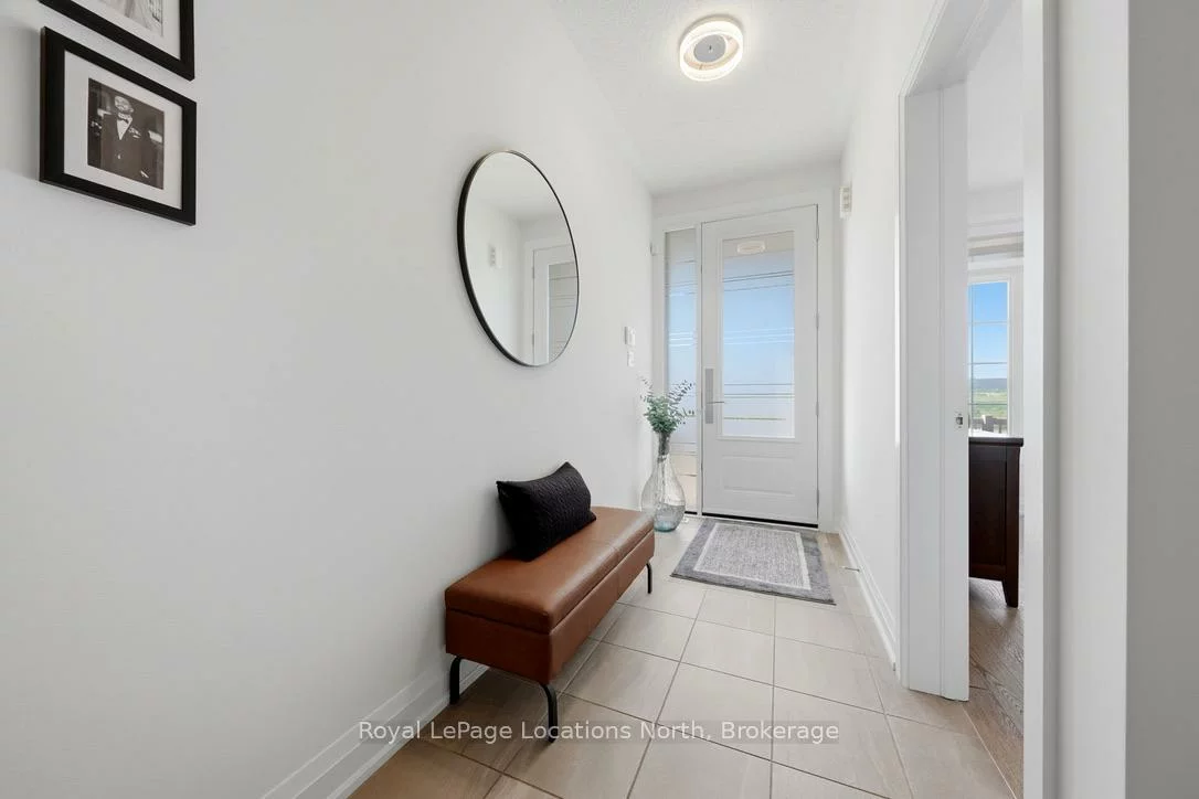 31, Tea Rose, Sandringham-Wellington, Brampton