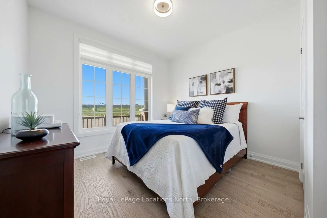31, Tea Rose, Sandringham-Wellington, Brampton