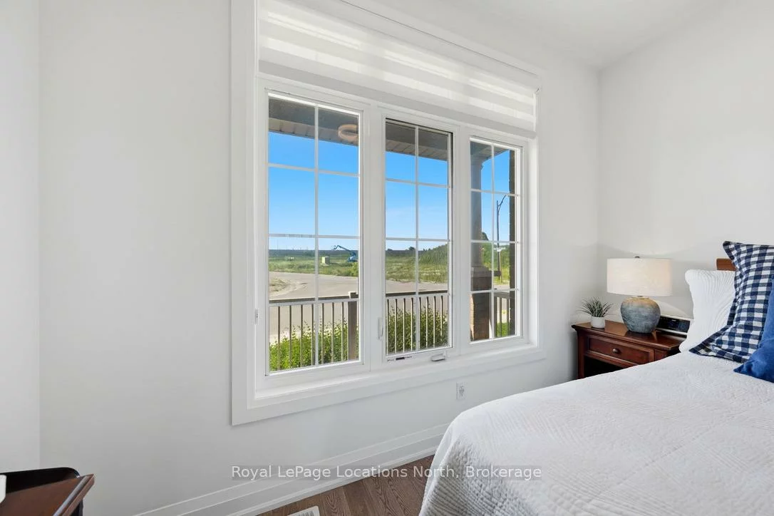 31, Tea Rose, Sandringham-Wellington, Brampton