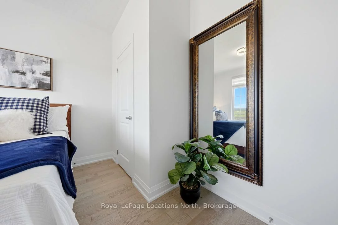 31, Tea Rose, Sandringham-Wellington, Brampton