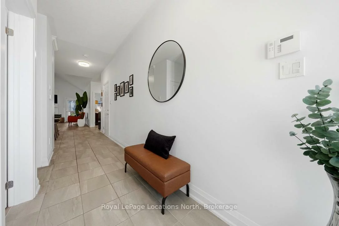31, Tea Rose, Sandringham-Wellington, Brampton