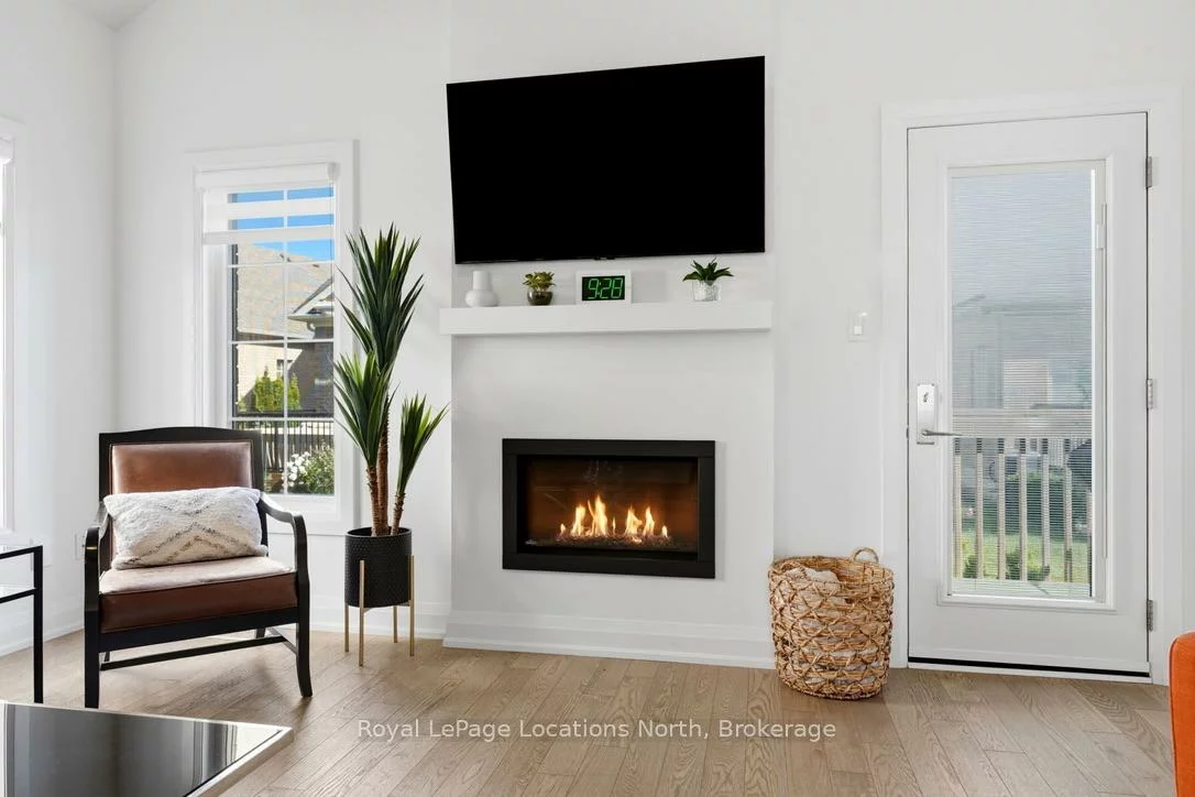 31, Tea Rose, Sandringham-Wellington, Brampton