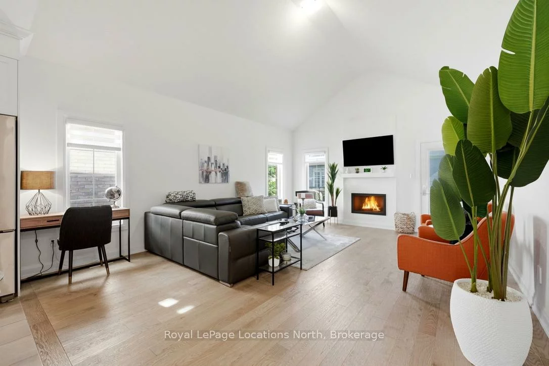31, Tea Rose, Sandringham-Wellington, Brampton