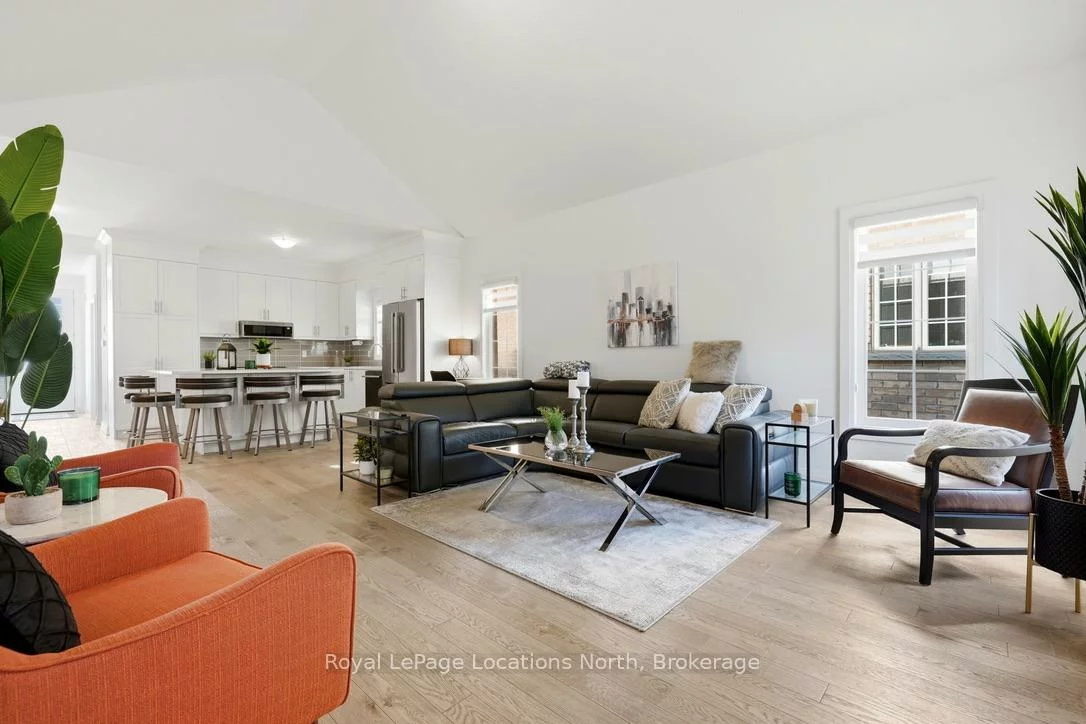 31, Tea Rose, Sandringham-Wellington, Brampton