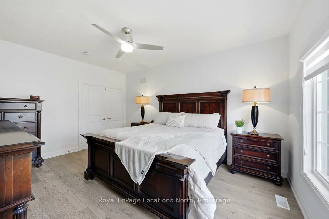31, Tea Rose, Sandringham-Wellington, Brampton