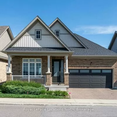31, Tea Rose, Sandringham-Wellington, Brampton