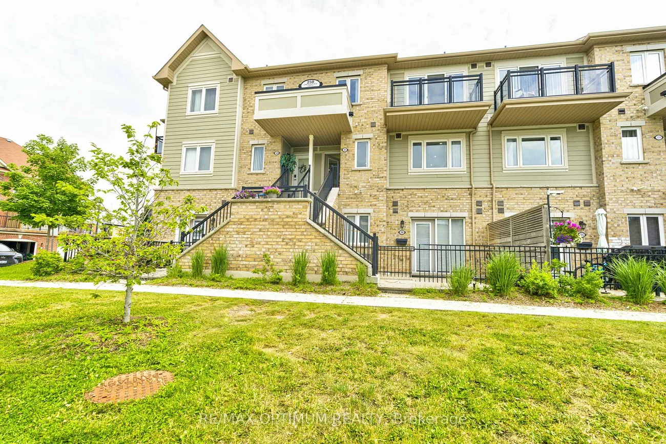 250, Sunny Meadow, Sandringham-Wellington, Brampton