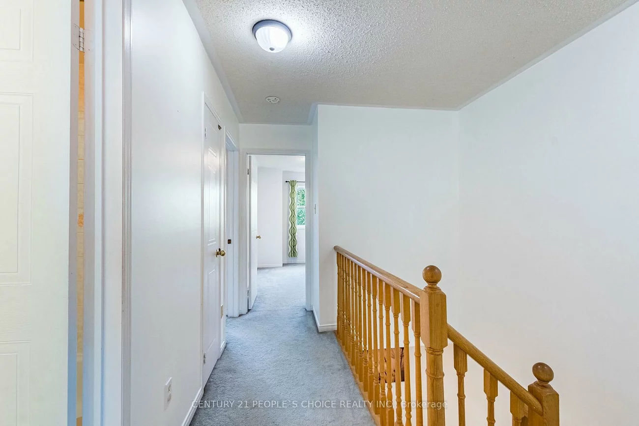 30, Brisbane, Sandringham-Wellington, Brampton