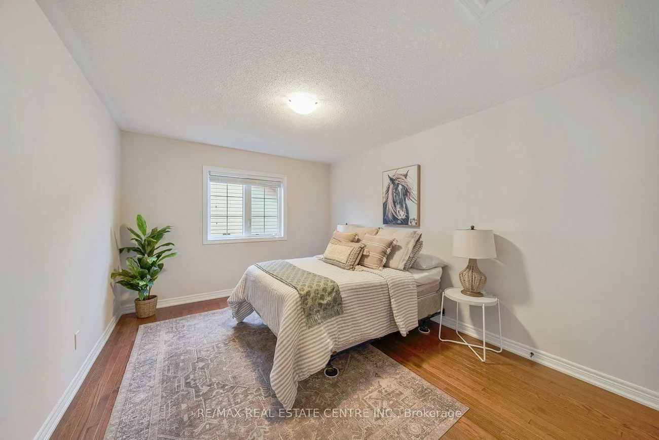 18, Seedhouse, Sandringham-Wellington, Brampton
