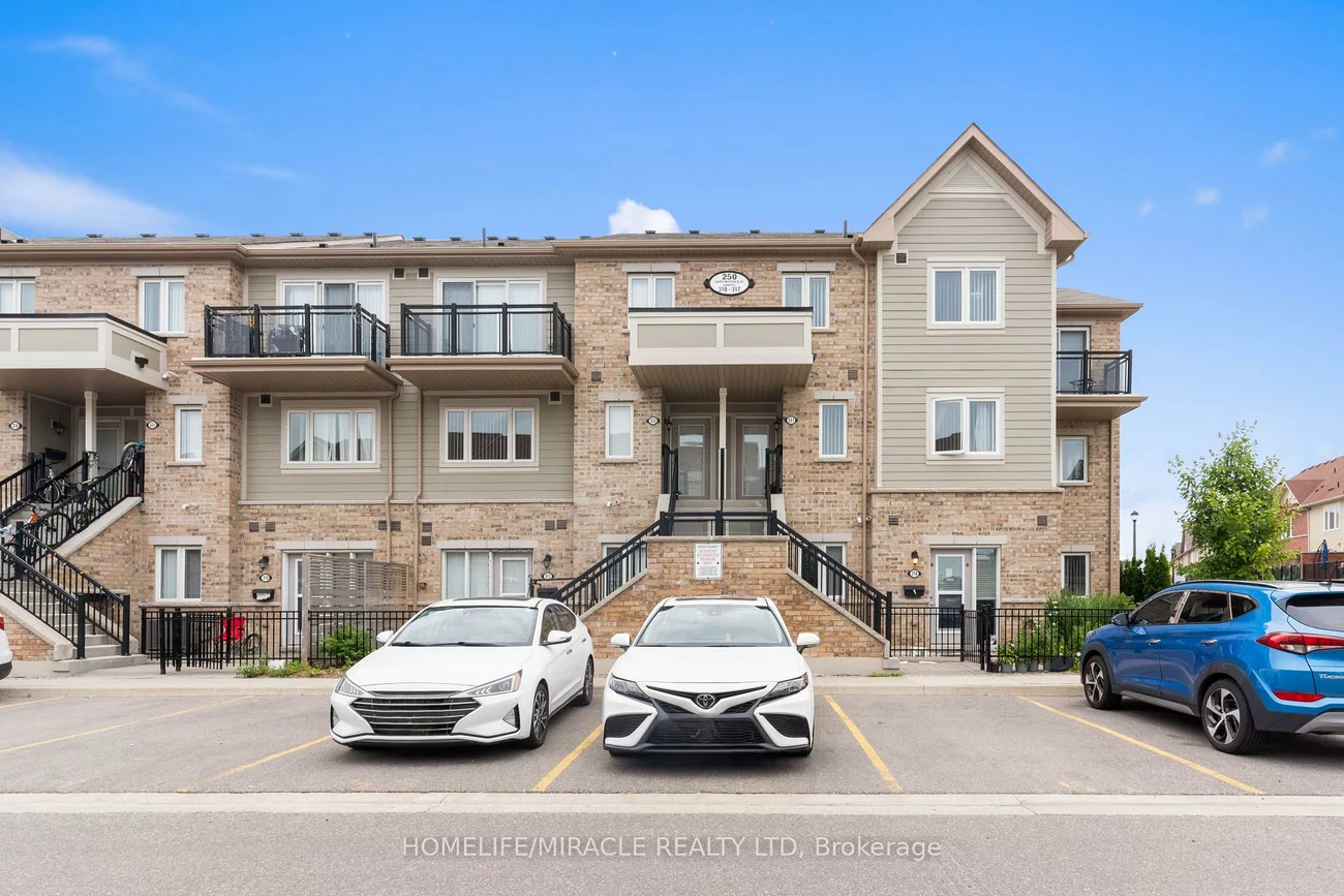 250, Sunny Meadow, Sandringham-Wellington, Brampton