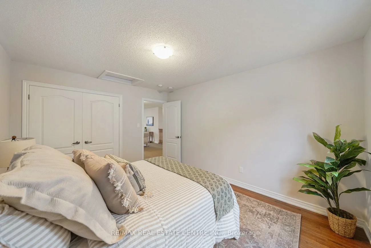18, Seedhouse, Sandringham-Wellington, Brampton
