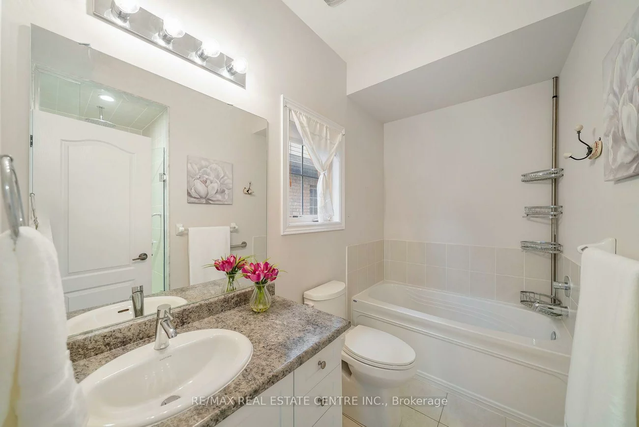 18, Seedhouse, Sandringham-Wellington, Brampton