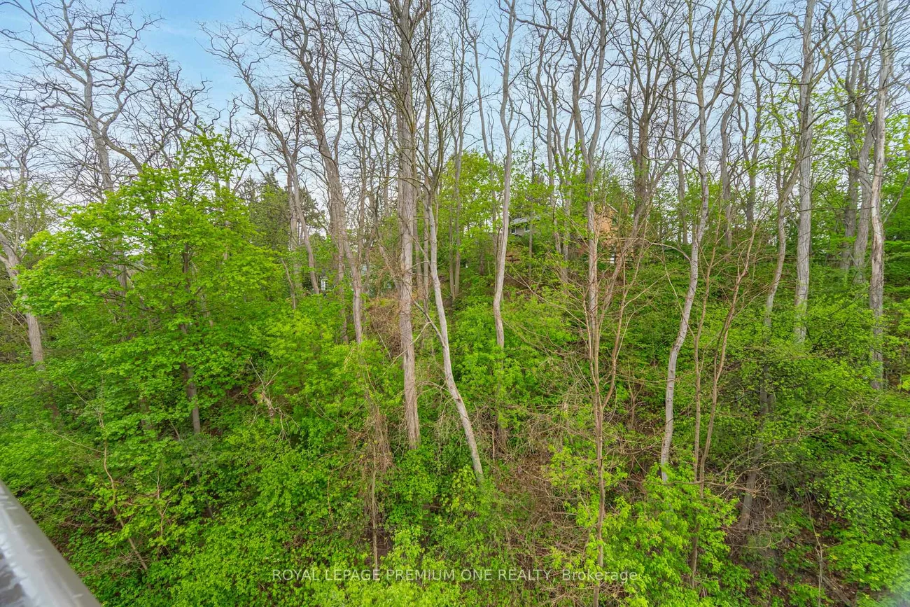 60, Ann, Bolton North, Caledon