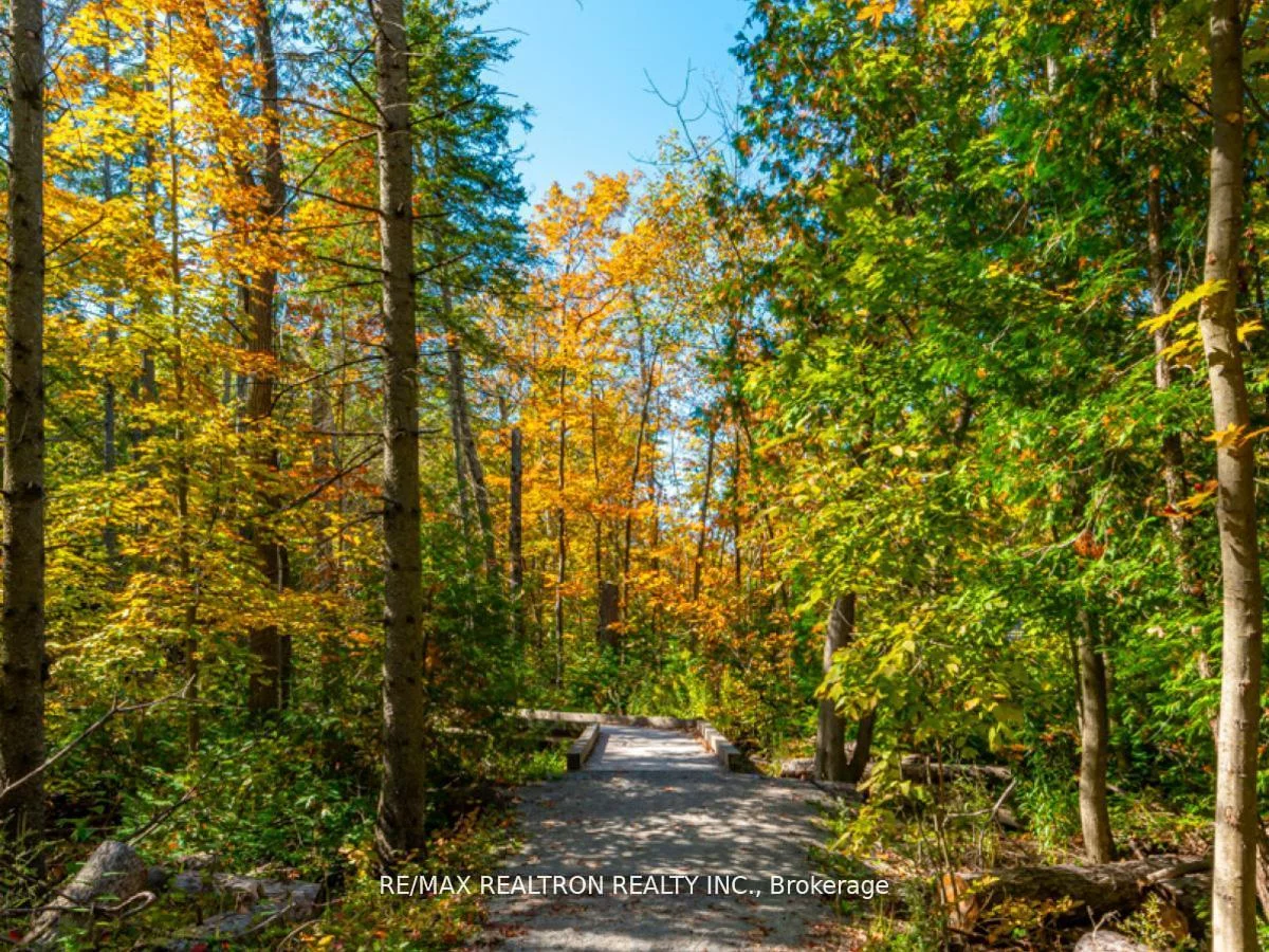 261, Broward, Rural Innisfil, Innisfil