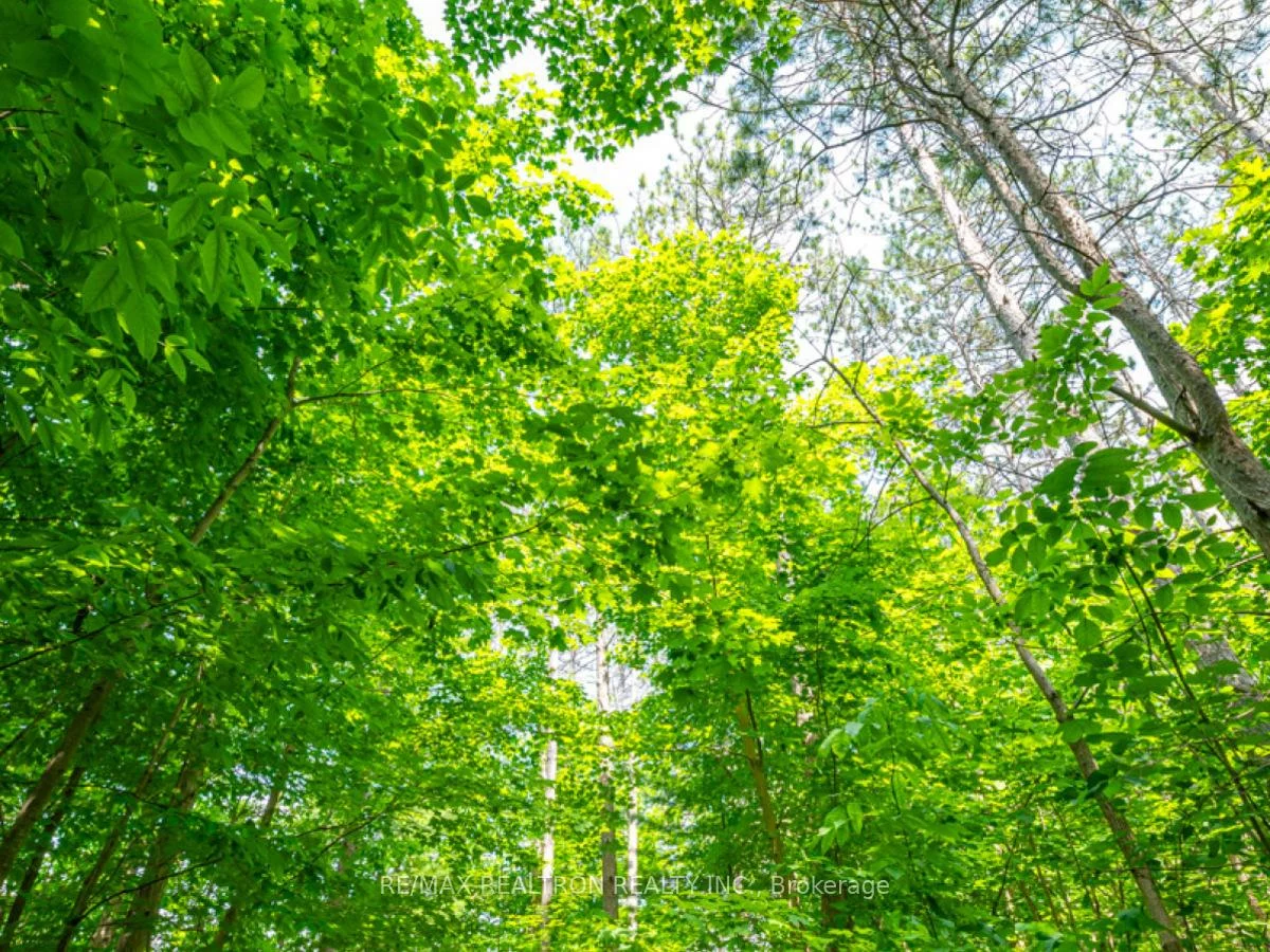 333, Sunseeker, Rural Innisfil, Innisfil