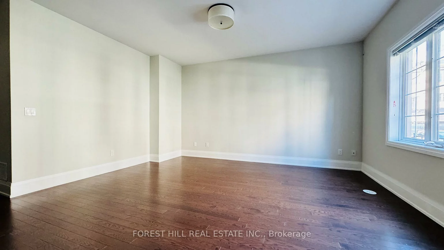 20, American Elm, Unionville, Markham