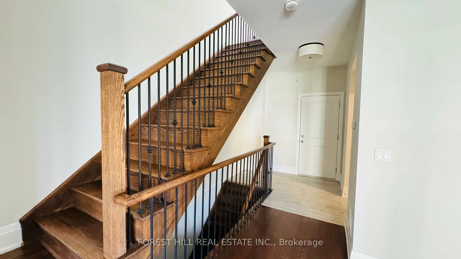 20, American Elm, Unionville, Markham