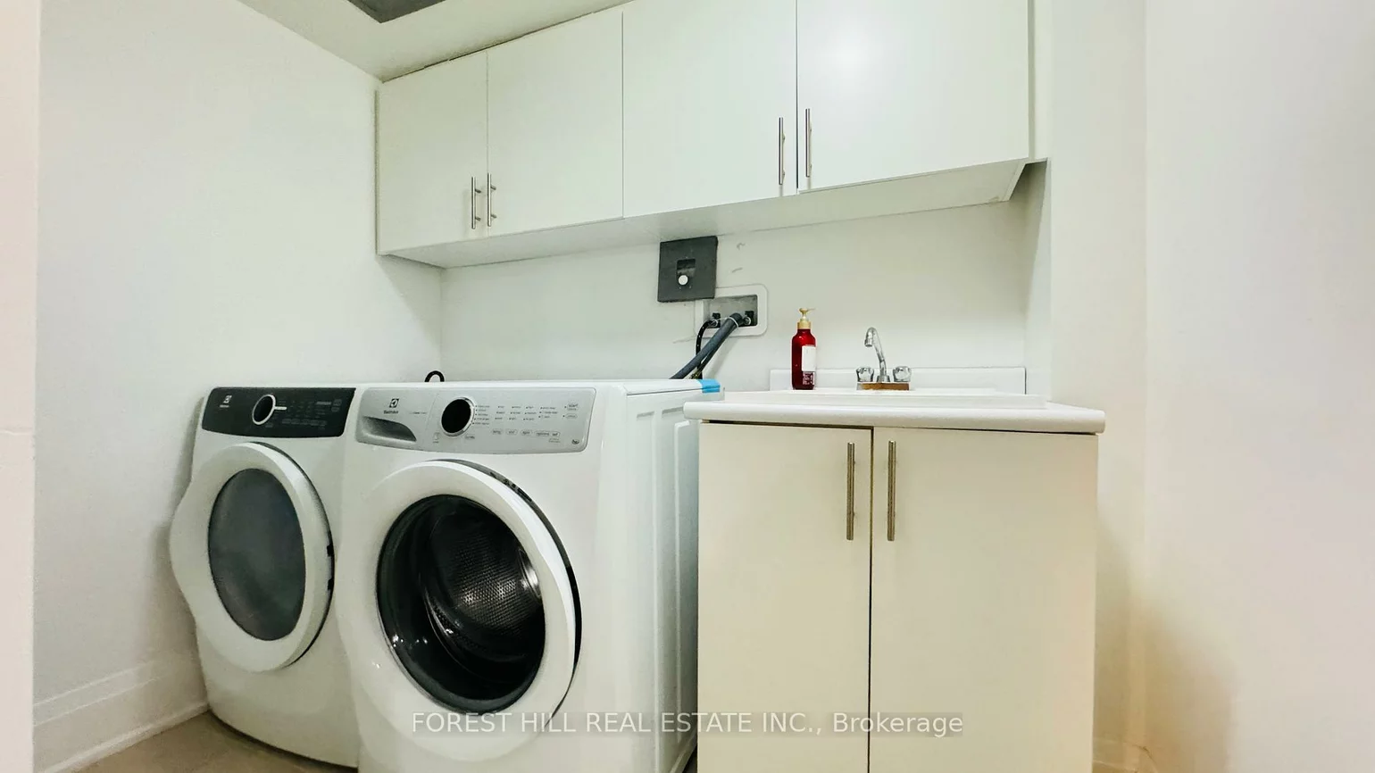 20, American Elm, Unionville, Markham