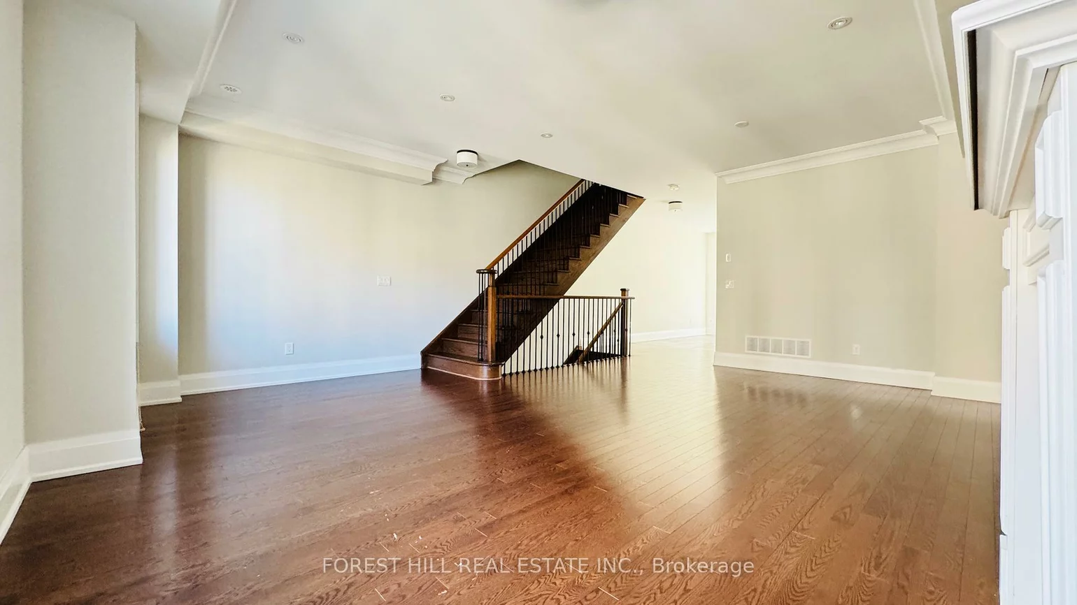 20, American Elm, Unionville, Markham