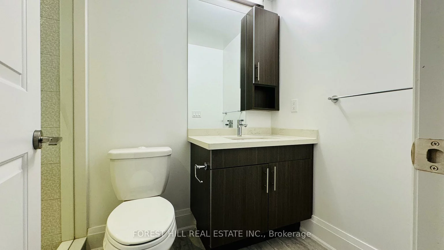 20, American Elm, Unionville, Markham