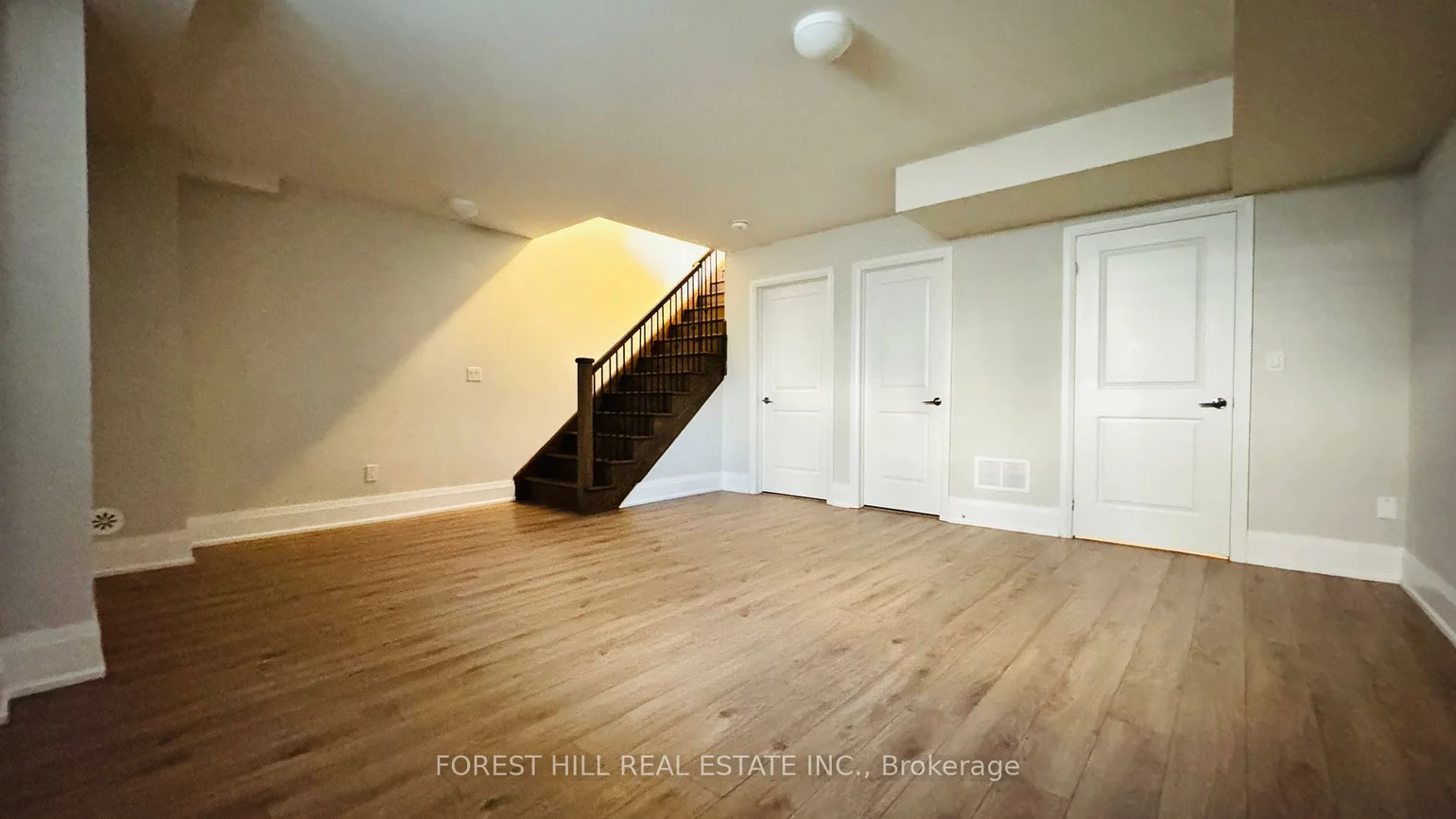 20, American Elm, Unionville, Markham