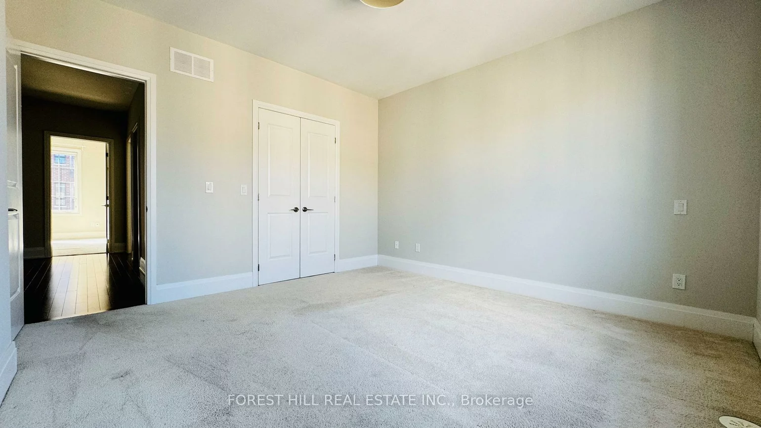 20, American Elm, Unionville, Markham