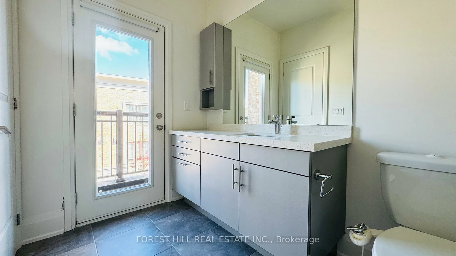 20, American Elm, Unionville, Markham