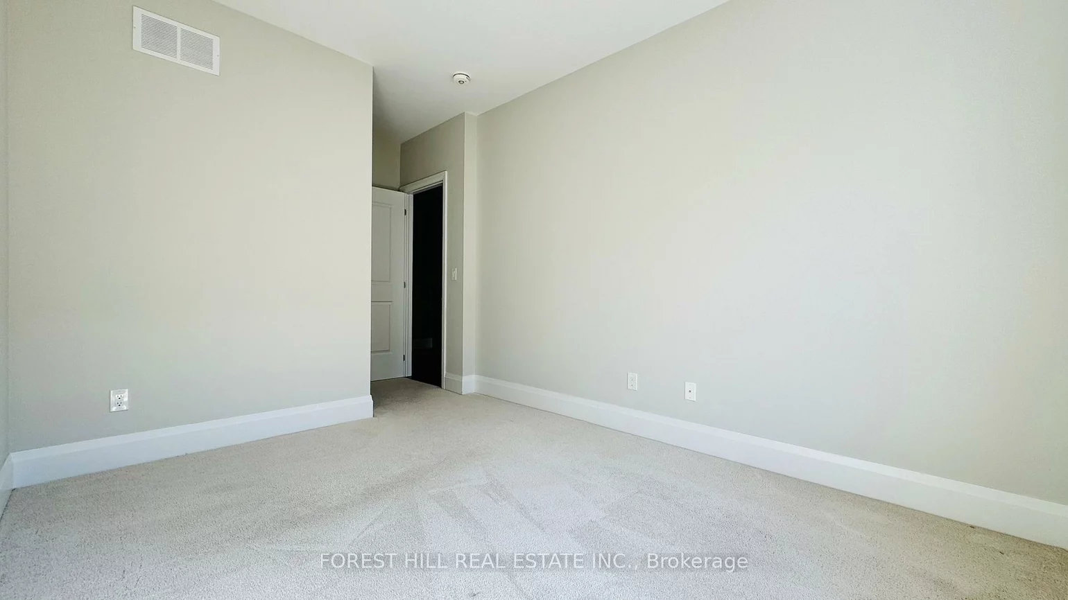 20, American Elm, Unionville, Markham