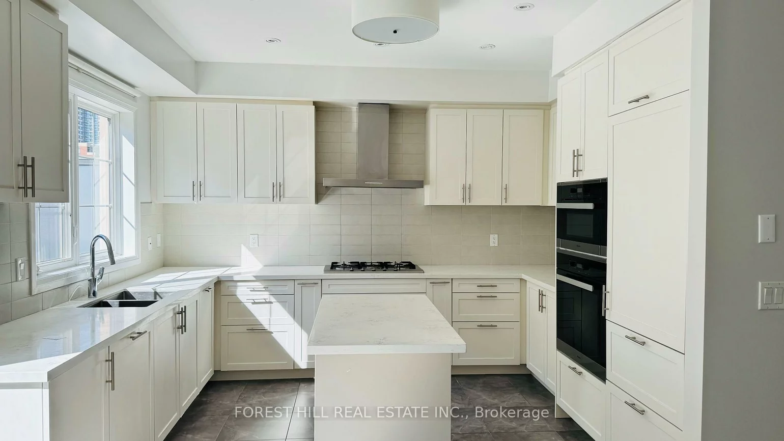 20, American Elm, Unionville, Markham