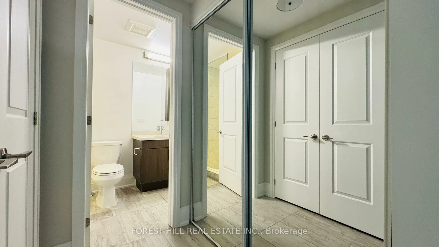 20, American Elm, Unionville, Markham