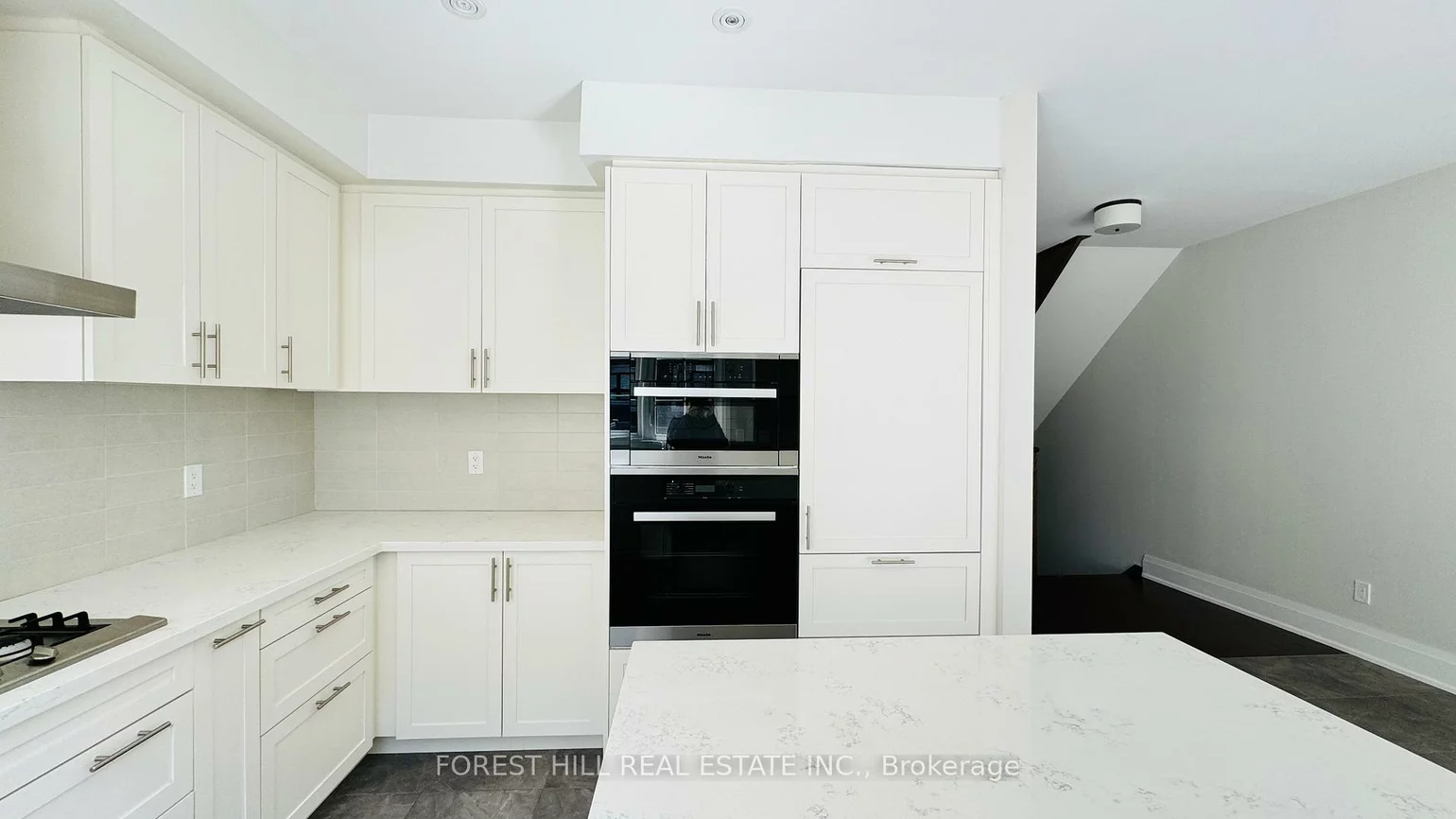 20, American Elm, Unionville, Markham