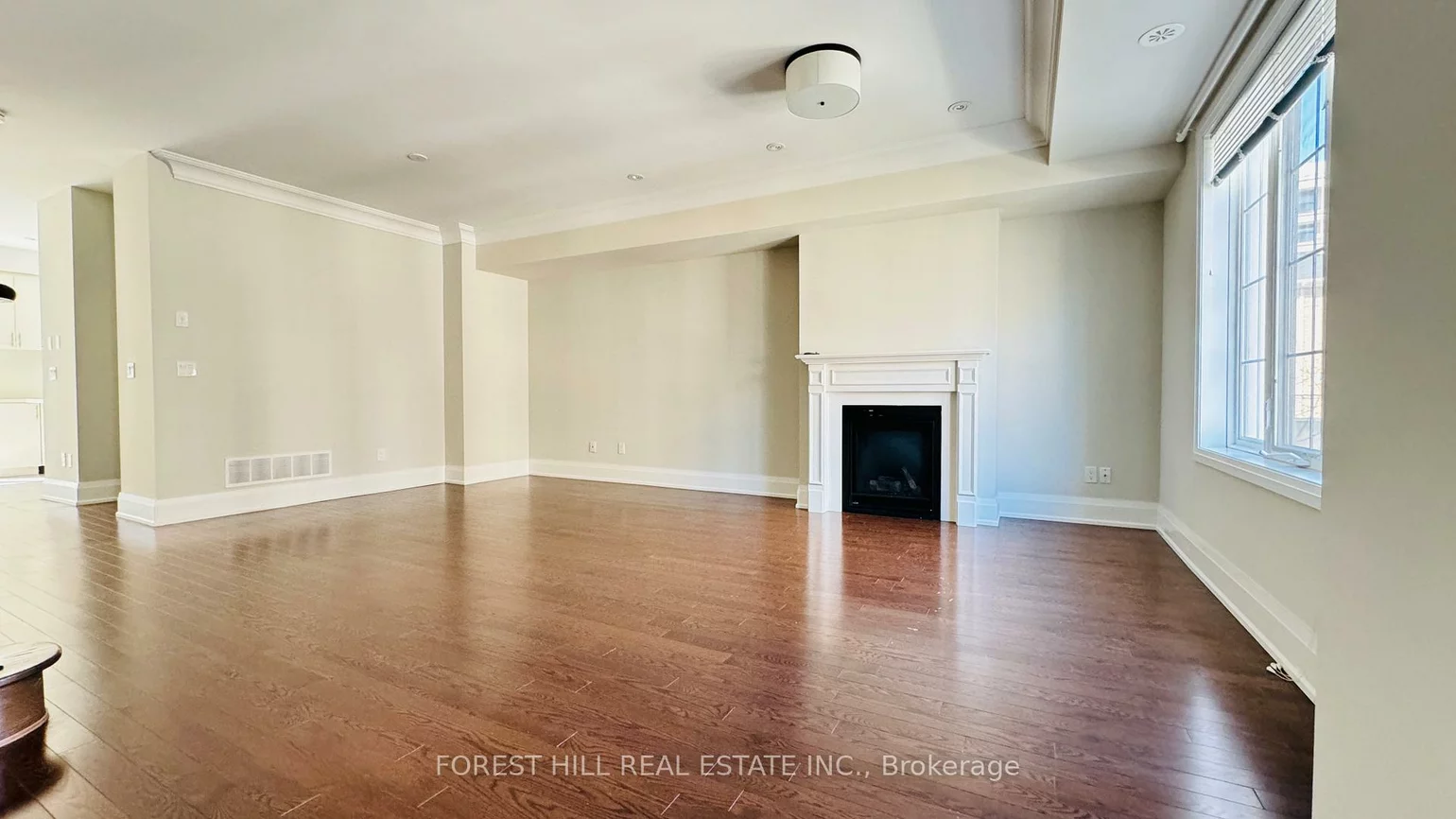 20, American Elm, Unionville, Markham