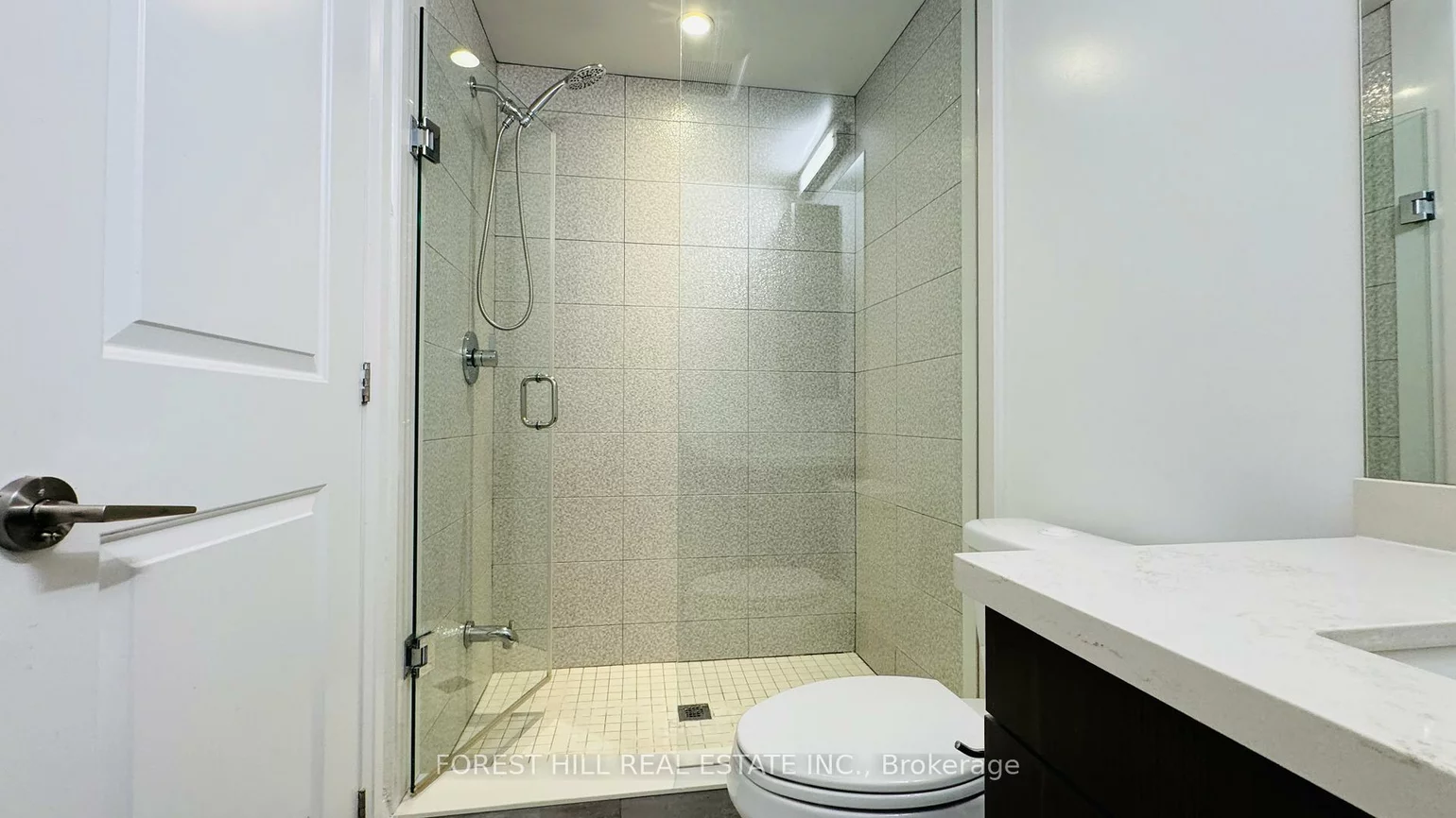 20, American Elm, Unionville, Markham