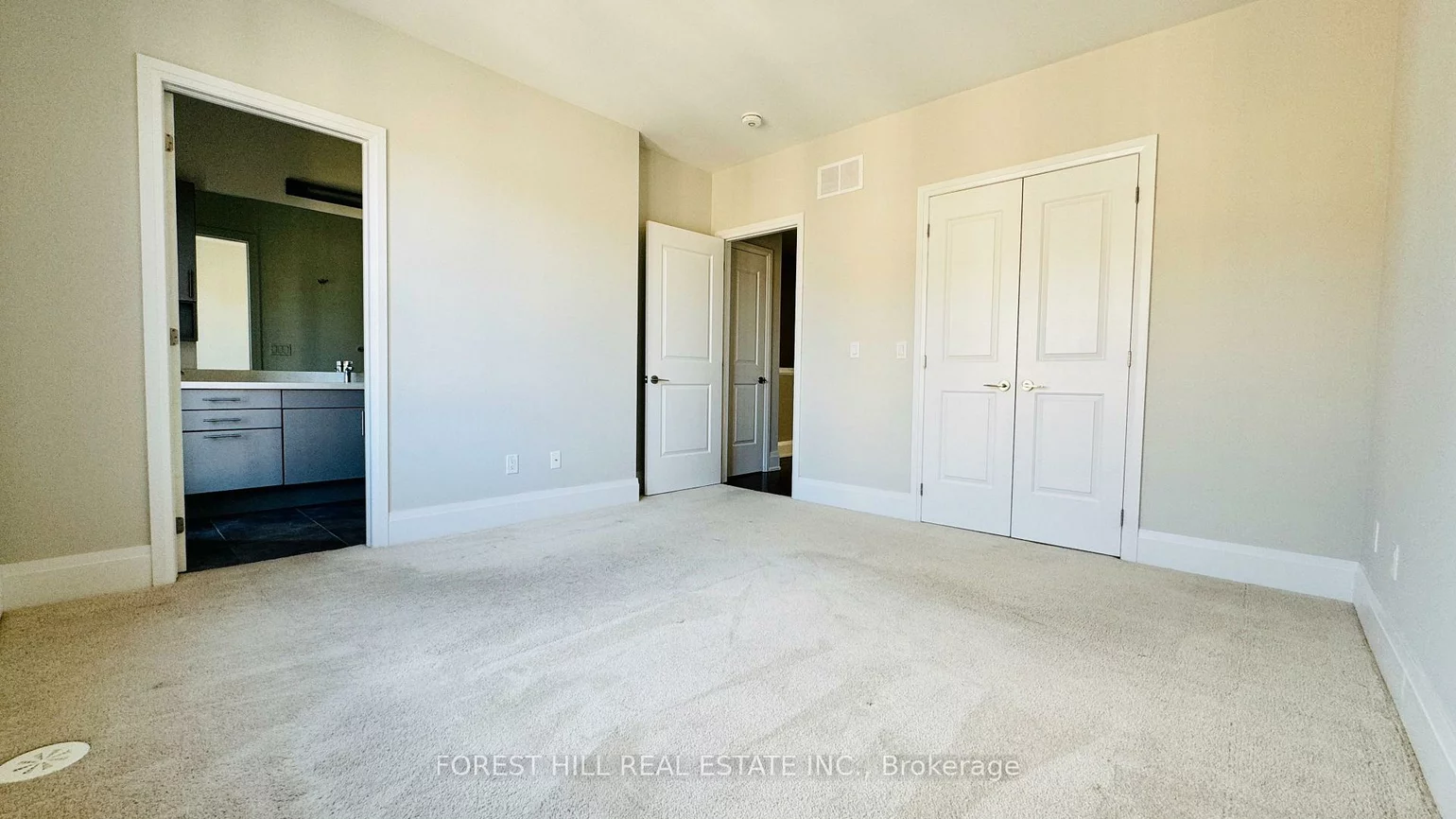 20, American Elm, Unionville, Markham