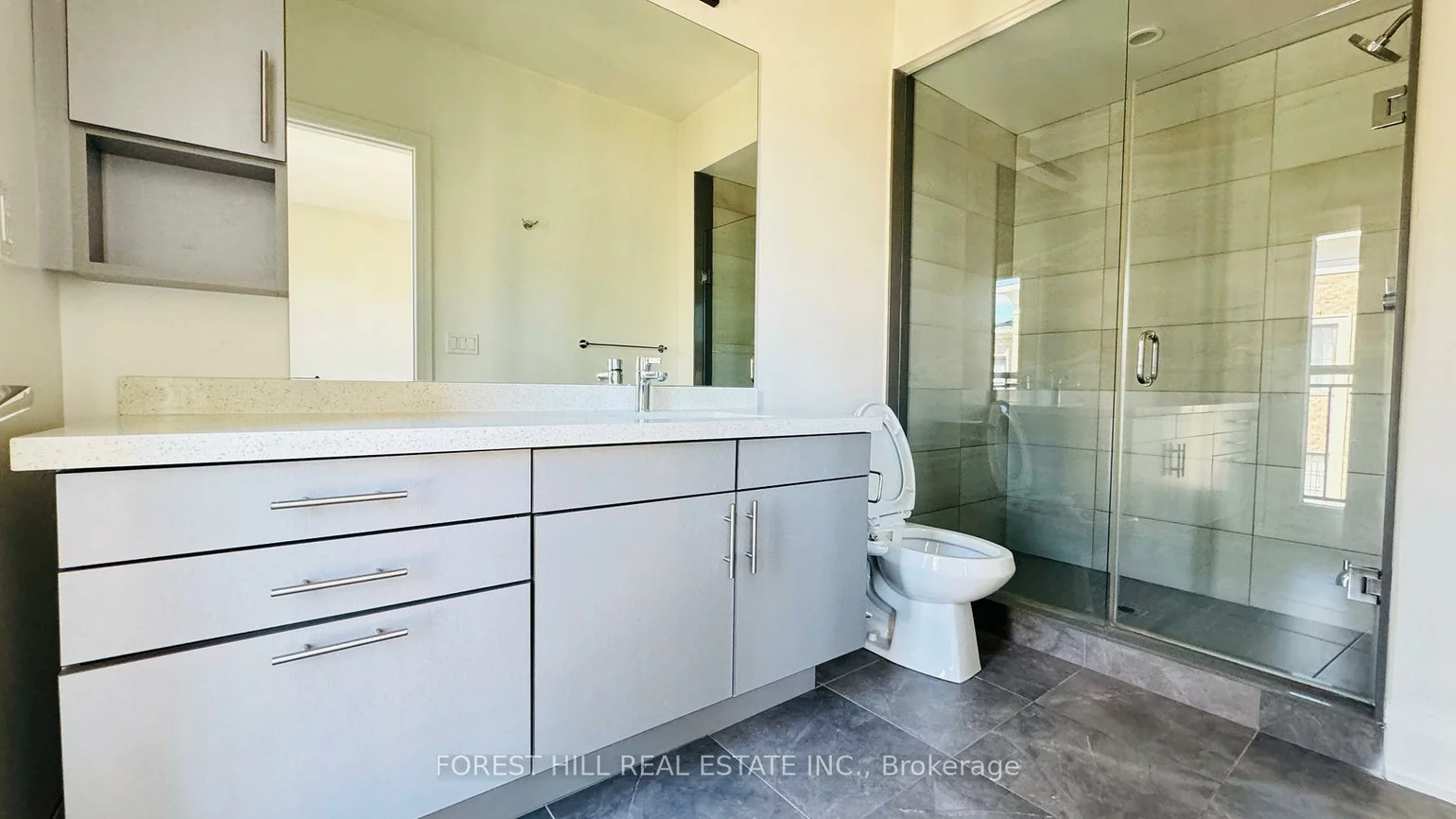 20, American Elm, Unionville, Markham