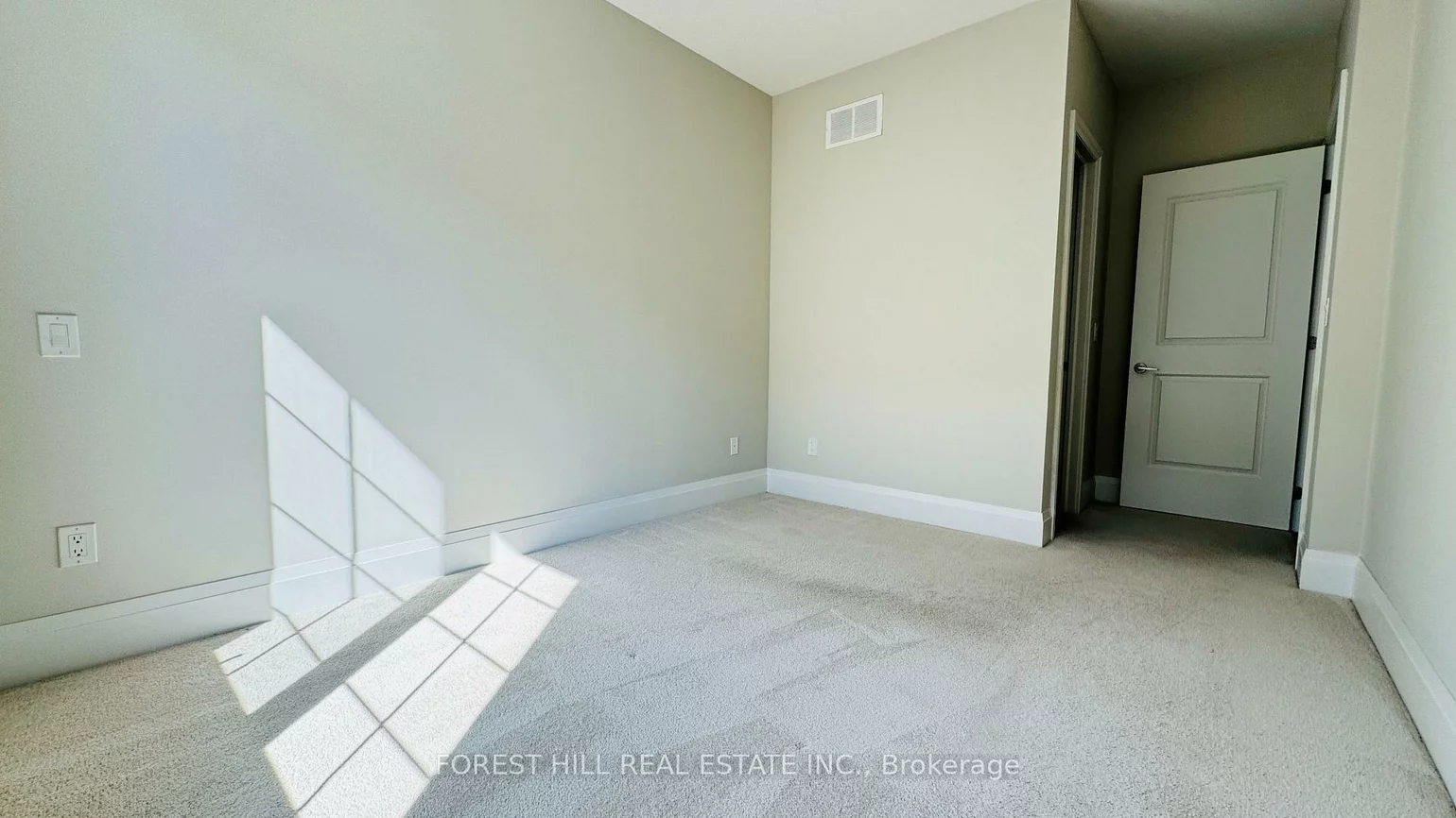 20, American Elm, Unionville, Markham